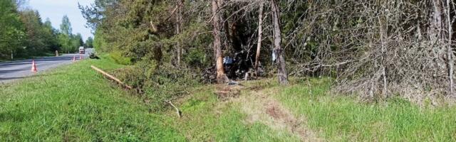 Viljandimaal hukkus vastu puud sõitnud 22-aastane mees