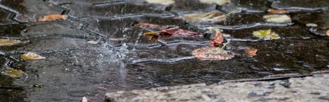 ILMATEADE | Õhtul katab osa Eestit tihe vihmasadu