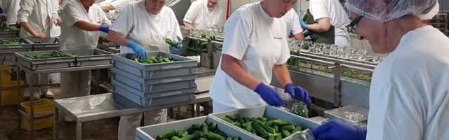 Kümnendi ihaldusväärseimad tööandjad tööstuses