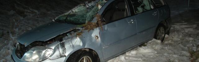 Reporter: Möödasõit viis Tallinn-Tartu maanteel kraavi kaks autot, mis ka üle katuse paiskusid