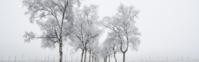 Teedel võib olla libedust!