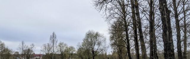 Emajõe vabaujula uue parkla ehitus lükkub edasi