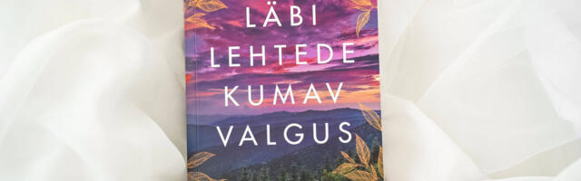 “Läbi lehtede kumav valgus” – Glendy Vanderah lummav lugu armastusest, kaotusest ja looduse tervendavast jõust