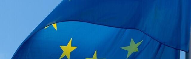 Рассмотрение заявок о предоставлении убежища от сирийцев приостановили 15 стран ЕС