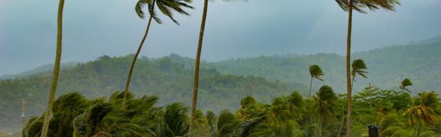 Watch These Live Webcam Views of Jamaica as Hurricane Melissa Makes Landfall