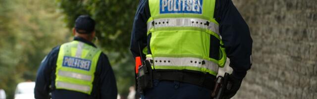 Kunstnike liidu pettuses nabiti kinni kaks kahtlustatavat