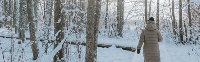 Kuus põhjust, miks veebruarikuus looduses matkata