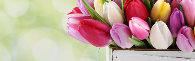 Päevahoroskoop : esmaspäev, 12. mai