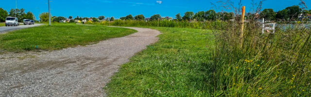 Väikese viigi ümber tuleb kergliiklustee