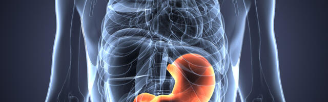 Inimese kõht toodab iga päev seedimiseks ligikaudu 1.5 - 2 liitrit maohapet