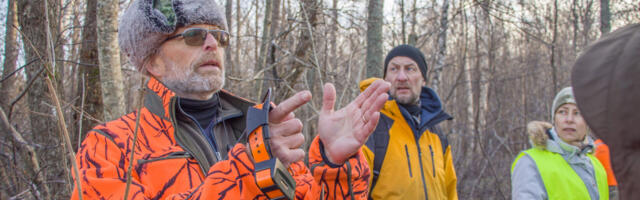 Vormsi huntidele peetakse taas ühisjahti