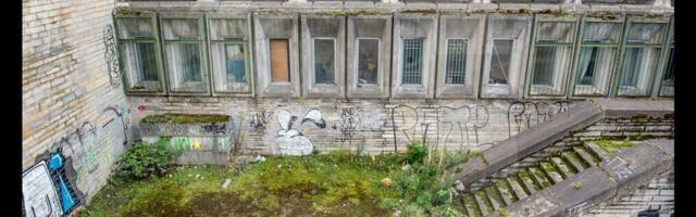 Unistus metsikust linnast