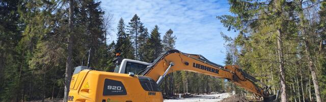 KOMMENTAARIDETA: valmivad teed Pringi metsas 12. mail 2024