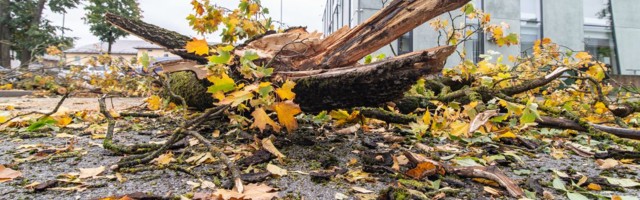 Eestit räsinud torm väsis Ida-Virumaale jõudes ära