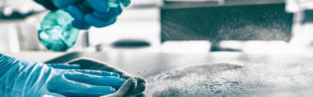 Loodusega sina peal: kust tekivad koju superbakterid ja misasi on probiootiline puhastusvahend?