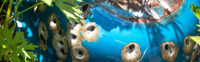 Tarraste tulistas mootorratturit ka pärast tema elumärkide kontrollimist