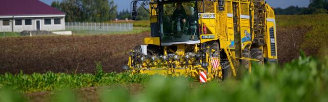 Kliimakriis teeb suhkru kalliks: hinnaprognoos maitseb mõrult