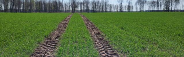 Luunja Mõisa põld osaleb Inglismaa viljelusvõistlusel YEN teist korda