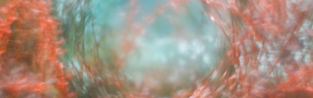 A-Galerii akendel Kadi Veesaar, Nathaniel Lazar ja Maria Kiialainen