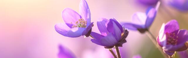 Horoskoop aprilliks: kuu, mis võib muuta su armastust, karjääri ja tulevikuplaane