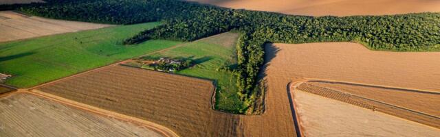 Syngenta REVERTE® programm pälvis rahvusvahelise tunnustuse