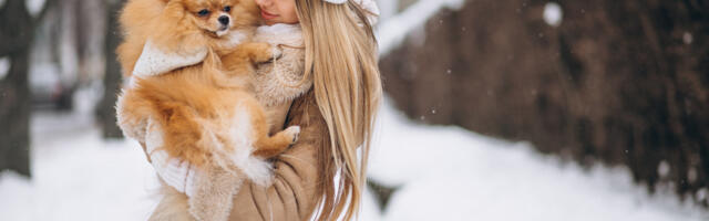 NÕUANDED I Talvel koeraga reisile: mida silmas pidada, et lemmiklooma jaoks oleks reis turvaline