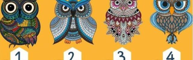 Vali öökull ja loe kogu tõde oma iseloomu kohta.