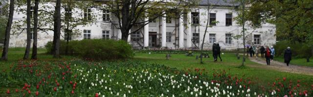 Piltuudis: VÄÄRIKAD KIRNA MÕISAS