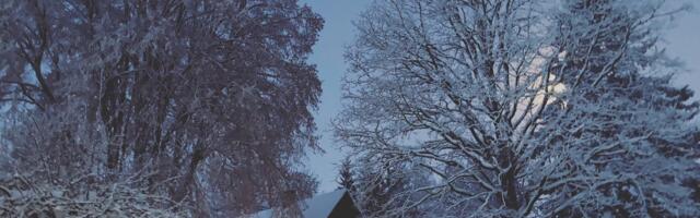 Mart Kase: võitlus lumega, võitlus iluga