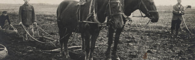 Künnipäev toob esimese vao ja esimese kaste