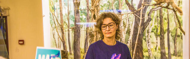 Yoko Alender: igasugune taastuvenergia areng on hea