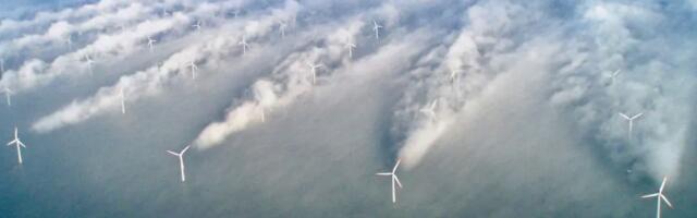 Taani energiaettevõte: mereturbiinide trügimine põhjustab märkimisväärseid kiilutuule kahjusid