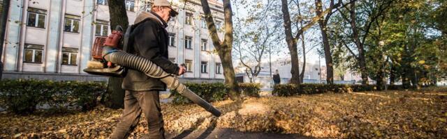 KÜSITLUS | Kas lehepuhurid tuleks ära keelata?