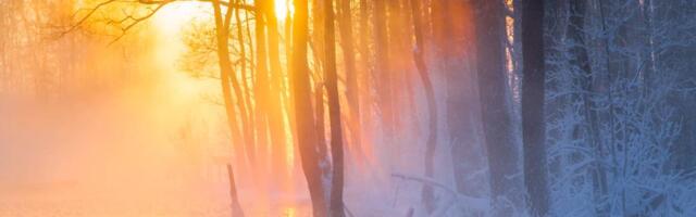 Hiite kuvavõistluse auhinnatud piltidelt näeb ka Järvamaad