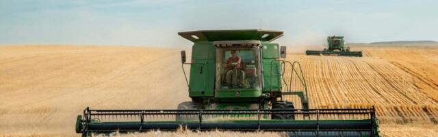 Muretum koristushooaeg algab sügisel