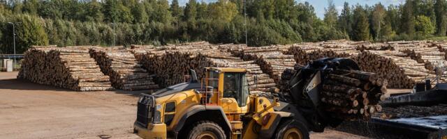 Värske uuring: Vene puit jõuab Ühendkuningriigi turule – ka Eesti kaudu