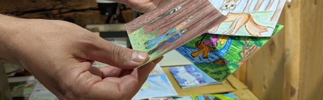 RMK kutsub valima parimaid koolilaste metsapostkaarte