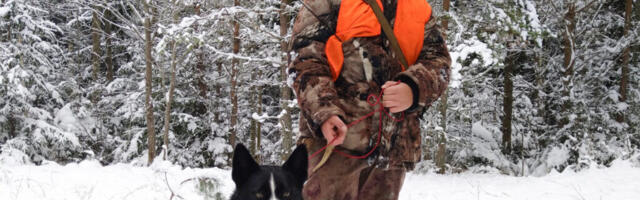 NOORED JAHINDUSES | Jaht poe vaid paugutamine