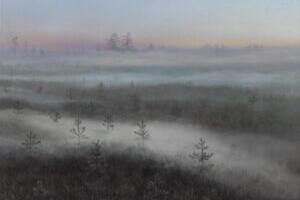 Tule metsa, mine metsa