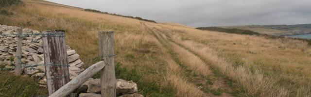 Iidse DNA analüüs: Inglismaal olid juba varakeskajal Lääne-Aafrika juurtega inimesed