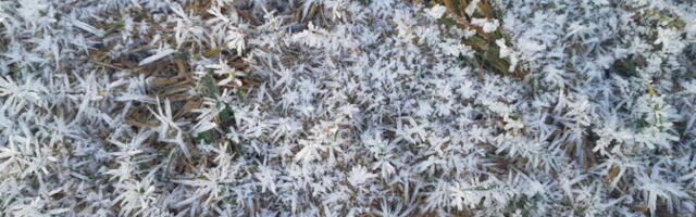 Öised miinuskraadid võivad teed muuta libedaks