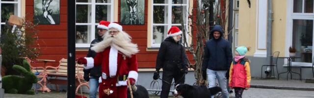 Galerii: Berni karjakoerad kulgesid rongkäigus läbi Haapsalu