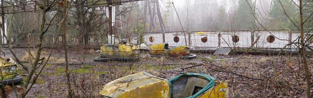 Jahmatav avastus: Ukraina firmad on üle 5 aasta Tšernobõlis vilja kasvatanud ja seda müünud