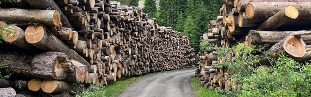 Meeleavaldus Tallinnas kutsus üles tugevdama metsade kaitset