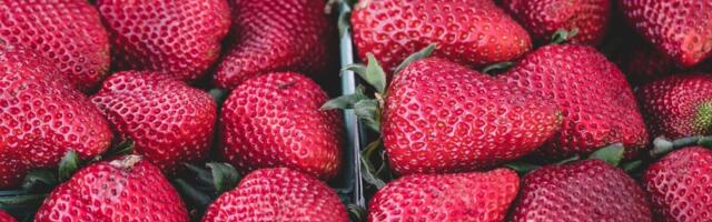 Töötu ongi pigem töötu