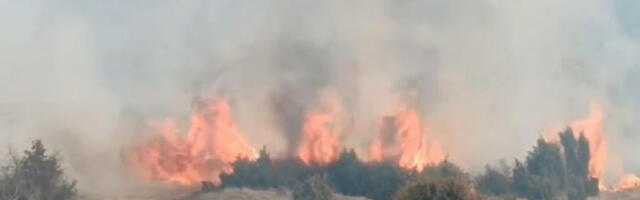 GROM IZAZVAO PAKAO KOD ČAČKA! Buknulo odjednom, vatra ide ka kućama!