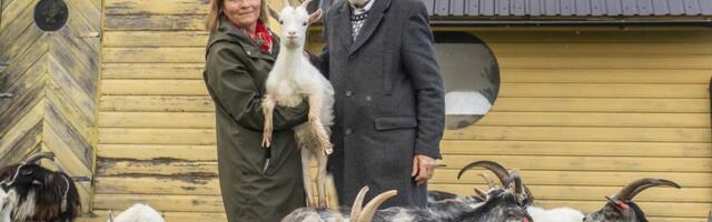 MARK SOOSAAR 80 | Rahu, vaikus, lõputud vaated merele. Filmimees elab kitsetallede ja lammastega ühe katuse all
