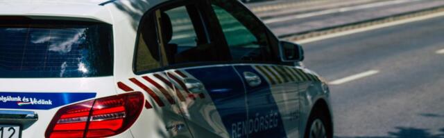 UBIO SVOG OCA I ISKASAPIO GA, DELOVE TELA SKRIVAO NA TAJNIM LOKACIJAMA Ubica iz Mađarske danas progovorio: Tvrdi da motiv nije NASLEDSTVO - govorio o detinjstvu