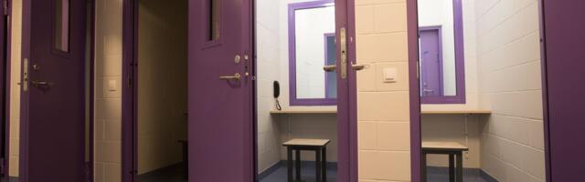 TRELLIDE TAGANT ⟩ Osa 4. Tahad lähedasele külla minna? Tagumik paljaks ja vangla Airbnb-sse