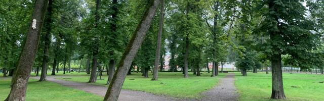 Kui vanalt hakkavad puud inimesega kõnelema?